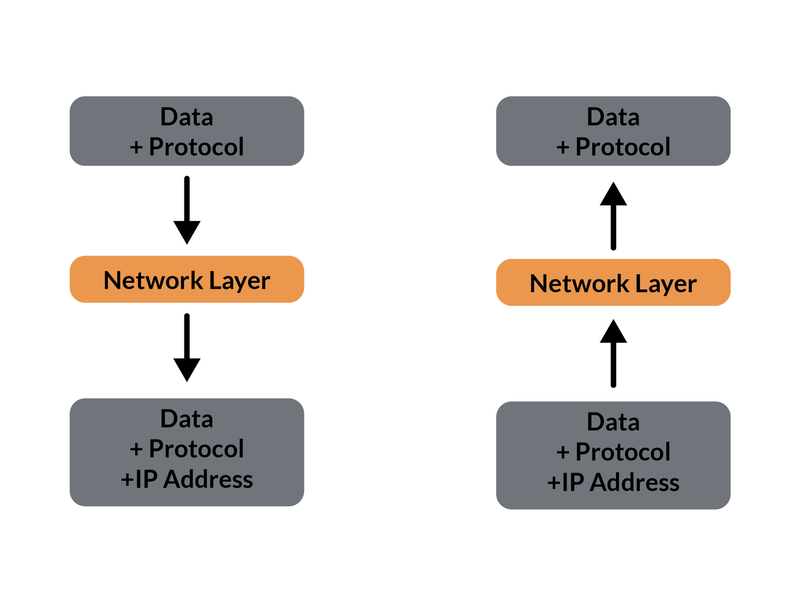 Network Layer
