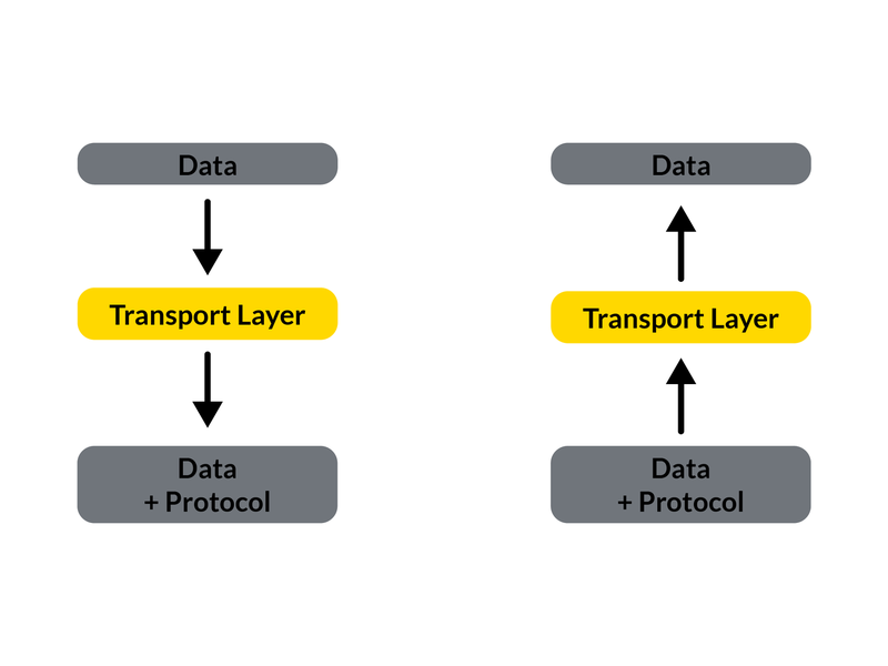 Transport Layer